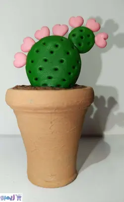 گلدون کاکتوس گل صورتی