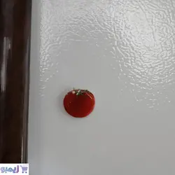 مگنت طرح گوجه