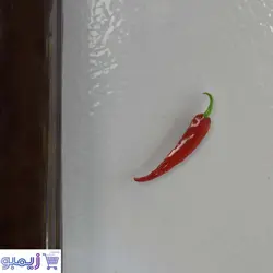مگنت فلفل قرمز