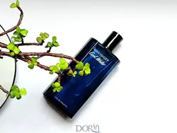 عطر ادکلن دیویدوف کول واتر مردانه ادو تویلت - فروشگاه اینترنتی زیبا شاپ