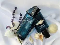 عطر ادکلن دیویدوف کول واتر مردانه ادو تویلت - فروشگاه اینترنتی زیبا شاپ