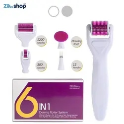 درمارولر ۶ در ۱ DRS 6 in 1 dermaroller - فروشگاه اینترنتی زیبا شاپ
