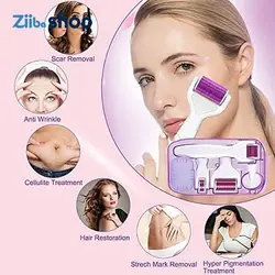 درمارولر ۶ در ۱ DRS 6 in 1 dermaroller - فروشگاه اینترنتی زیبا شاپ