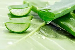 ژل آبرسان پوست آلوِئه ورا 99% 300 میل - فروشگاه اینترنتی زیبا شاپ