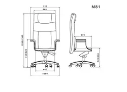 صندلی مدیریتی لیو مدل M81 | فروشگاه آرک