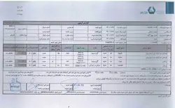 عسل چهل گیاه طبیعی کردستان -ژیناسو- 1کیلوگرم