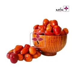 سنجد محلی کردستان درجه ۱ - ژیناسو