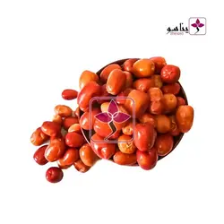 سنجد محلی کردستان درجه ۱ - ژیناسو