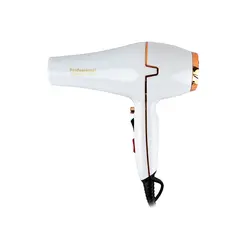 مشخصات، قیمت و خرید سشوار فیلیپس مدل PH-9999 - ژینال