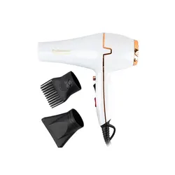 مشخصات، قیمت و خرید سشوار فیلیپس مدل PH-9999 - ژینال