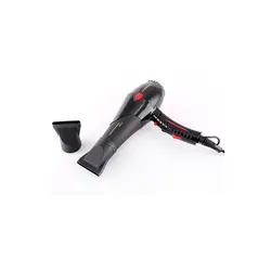 مشخصات، قیمت و خرید سشوار پرومکس گلد مدل PR 5728 - ژینال