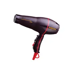 مشخصات، قیمت و خرید سشوار پرومکس گلد مدل Ref 5729 - ژینال