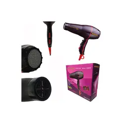 مشخصات، قیمت و خرید سشوار پرومکس گلد مدل Ref 5729 - ژینال