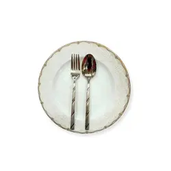 سرویس قاشق چنگال یونیک 24 نفره 120 تکه راه راه- ژینال