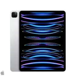 تبلت اپل مدل iPad Pro 11 2022 وای فای ظرفیت 256 مگابایت