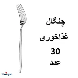 سرویس قاشق و چنگال یونیک 30نفره مدل ماینس206 پارچه