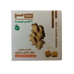 آدامس گياهي سقز حاوی زنجبيل