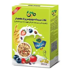 خرید و قیمت گرانولا لاغری ماپین 200 گرمی | آرتینار