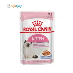 پوچ بچه گربه رویال کنین