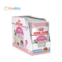 پوچ بچه گربه رویال کنین