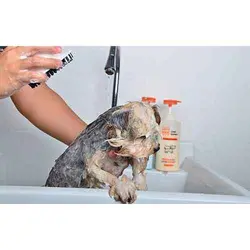 برس شستشوی گربه با محفظه شامپو