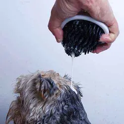 برس شستشوی گربه با محفظه شامپو