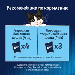 پوچ گربه فلیکس بوقلمون و بیکن
