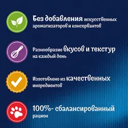پوچ گربه فلیکس بوقلمون و بیکن