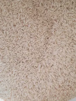 برنج طارم امراللهی لاشه دار دسته قرمز کیسه 10کیلوگرم