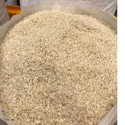 برنج سرلاشه هاشمی گیلان طبع ایرانی