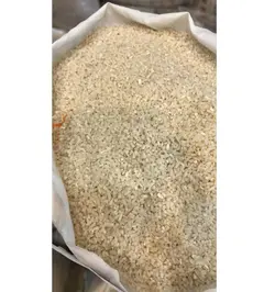 برنج سرلاشه هاشمی گیلان طبع ایرانی