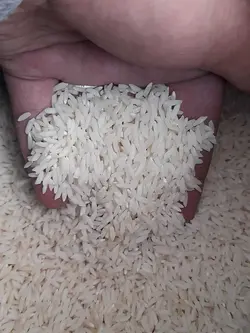 برنج دمسیاه خرم آباد کیسه پنج کیلویی