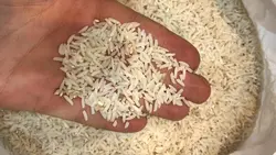 دمسیاه مینودشت پنج ستاره مخصوص و مطمئن تن تنانی ده کیلوگرم