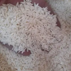 برنج طارم صدری کیسه ده کیلوگرم