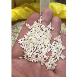 برنج عنبربو رستگار قدیم