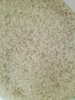 برنج فجرامسالی استرابادی کیسه ده کیلوگرم
