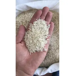 برنج فجر طلایی تن تنانی - برنج شمال