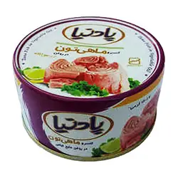 کنسرو ماهی تون در روغن پادینا - 120 گرم