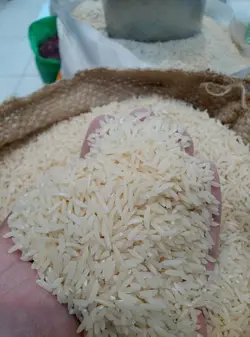 طارم محلی معطر اعلاء – ده کیلویی