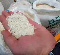 برنج طارم محلی استر آباد معطر اعلاء - 10 کیلوگرم