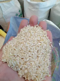 برنج ایرانی کرامت – ده کیلویی