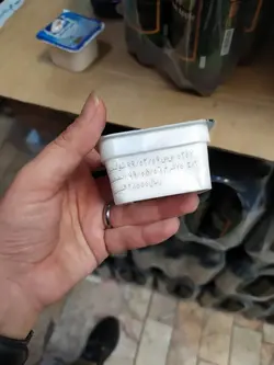 پنیر خامه ای 80 گرمی هلسی