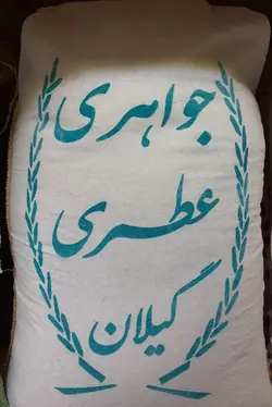 برنج ایرانی خزر جواهری – ده کیلویی