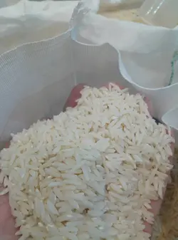 طارم محلی فریدونکنار – مهرشاد- ده کیلویی