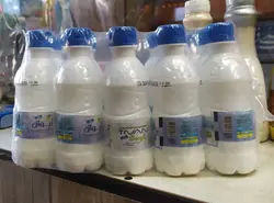 شل 15 تایی دوغ 250 سی سی تیوان