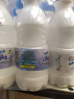 شل 15 تایی دوغ 250 سی سی تیوان