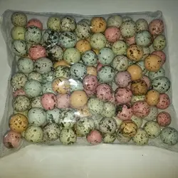 شکلات سنگی تخم بلدرچینی 500 گرمی ارکان