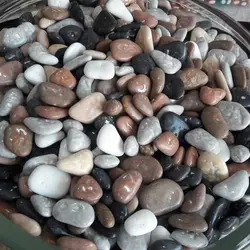شکلات سنگی رودخانه ای 500 گرمی ارکان