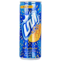 آبمیوه رانی در طعم های مختلف - 240 میلی‌لیتر