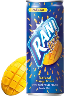 آبمیوه رانی در طعم های مختلف - 240 میلی‌لیتر